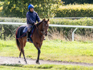 HC240925-5 - Rousham